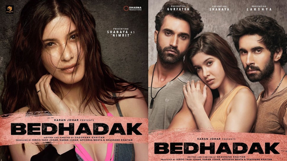 Shanaya Kapoors debut film Bedhadak announced, Karan Johar shares FIRST  poster | Movies News | Zee News