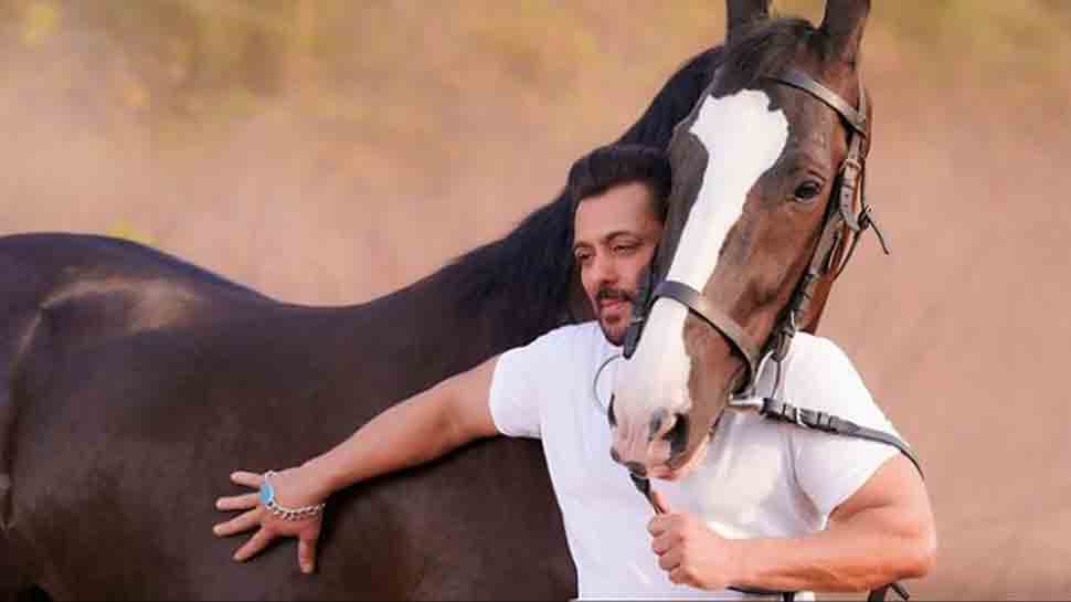 Kabhi Eid Kabhi Diwali a lui Salman Khan va fi lansat în săptămâna zilei de naștere a superstarului, Sajid Nadiadwala încuie 30 decembrie 2022 Kabhi Eid Kabhi Diwali a lui Salman Khan va fi lansat în săptămâna zilei de naștere a superstarului, Sajid Nadiadwala încuie 30 decembrie 2022