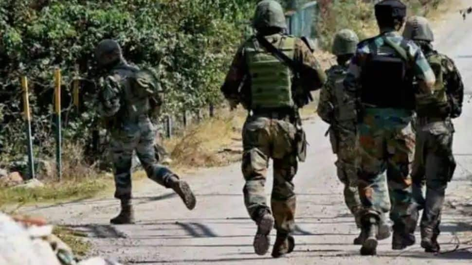 Terrorist arrested in Jammu and Kashmir’s Kupwara, search on for another militant