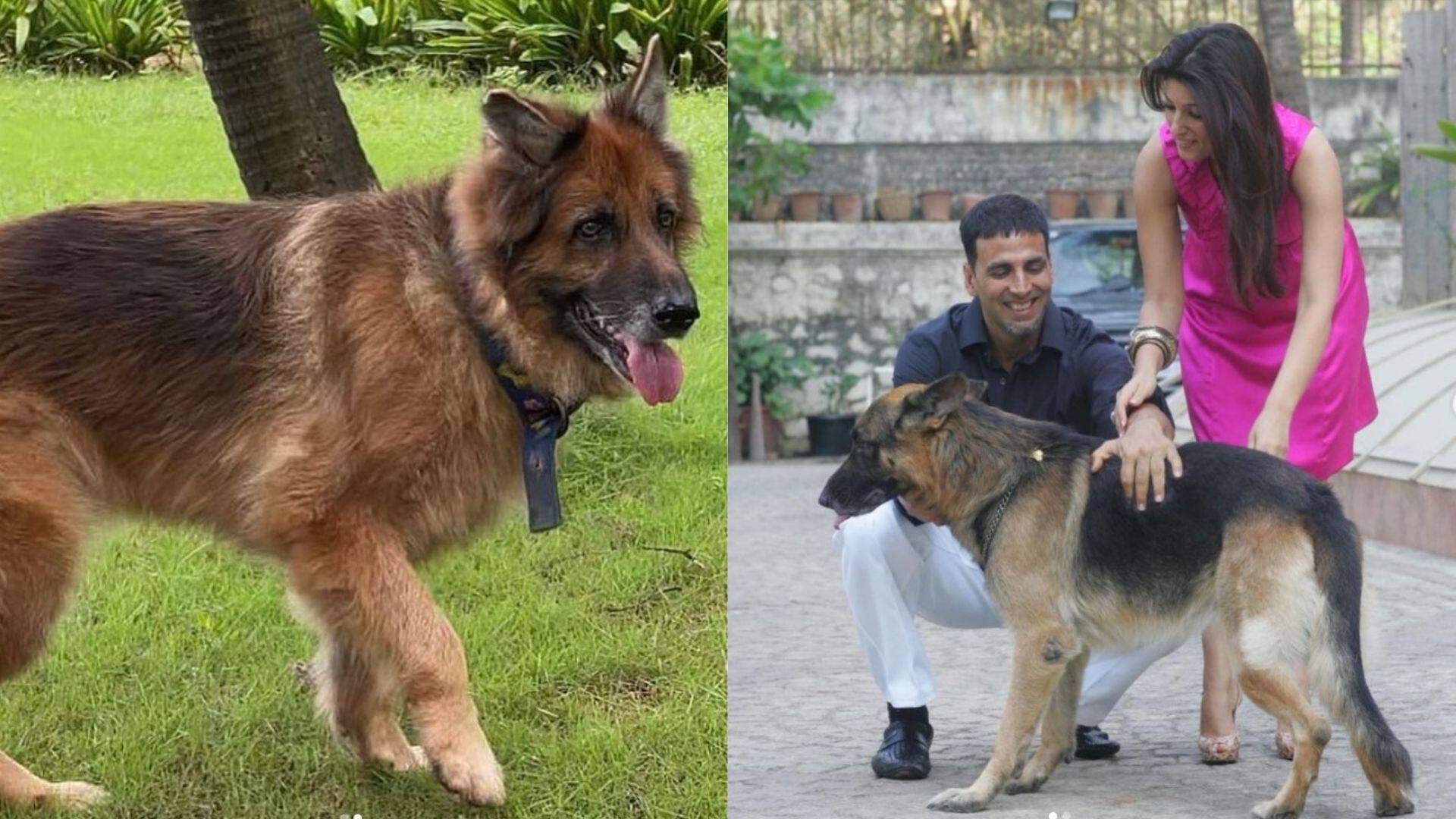 &#039;You took a part of our hearts with you&#039;: Akshay Kumar mourns demise of his dog Cleo