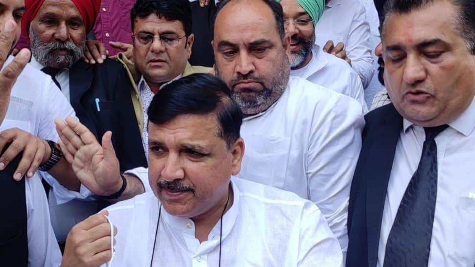 Good work already started in Punjab: Aam Aadmi Party&#039;s Sanjay Singh