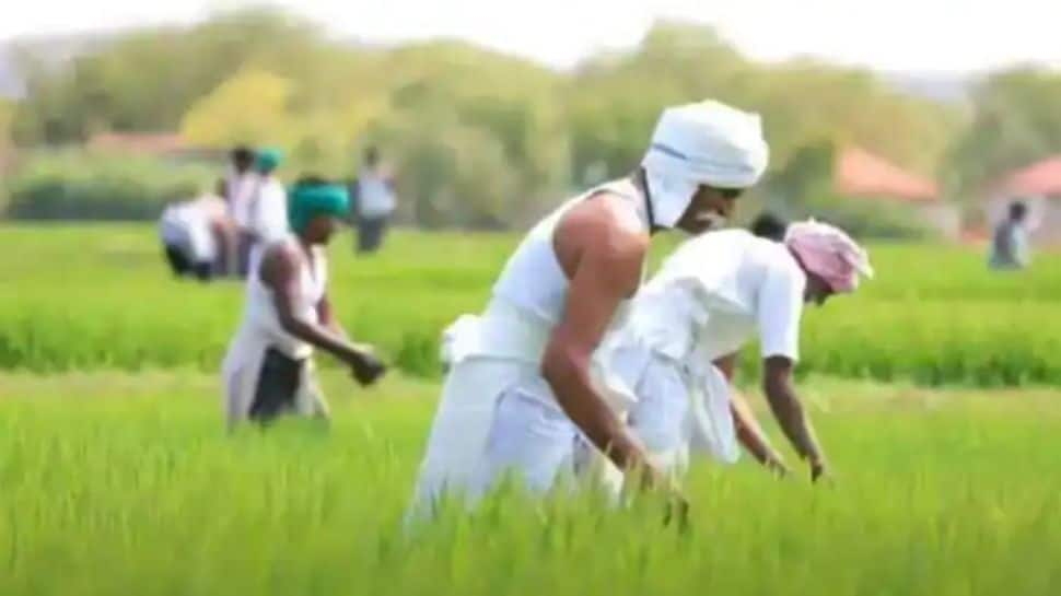 PM Kisan Yojana: Farmers to get 11th instalment soon; check how to add name to beneficiary list 