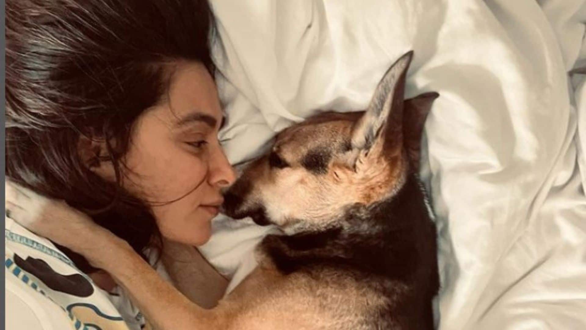 Newlywed Shibani Dandekar posts adorable picture with her pet dog &#039;Tyson Akhtar&#039; 