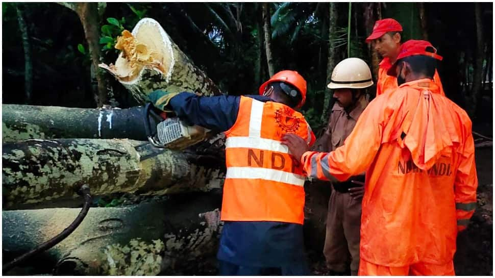 Cyclone Asani to intensify into cyclonic storm in next 12 hours, predicts IMD