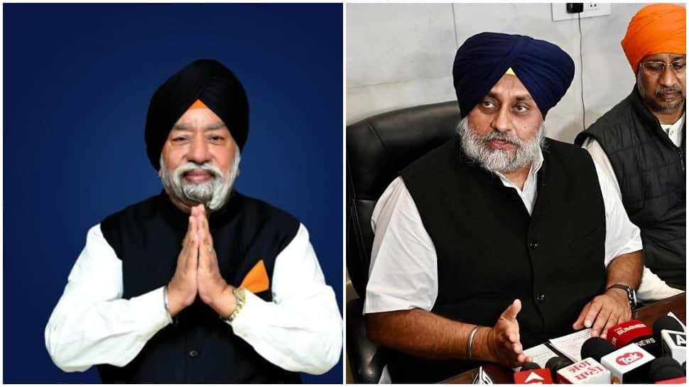 Zee Exclusive- &#039;Original SAD means....&#039;; Paramjit Singh Sarna leads movement to dethrone Badals