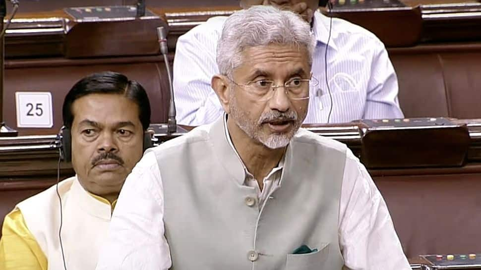 Expressed concern at Ukraine&#039;s worsening situation, violence must stop: S Jaishankar