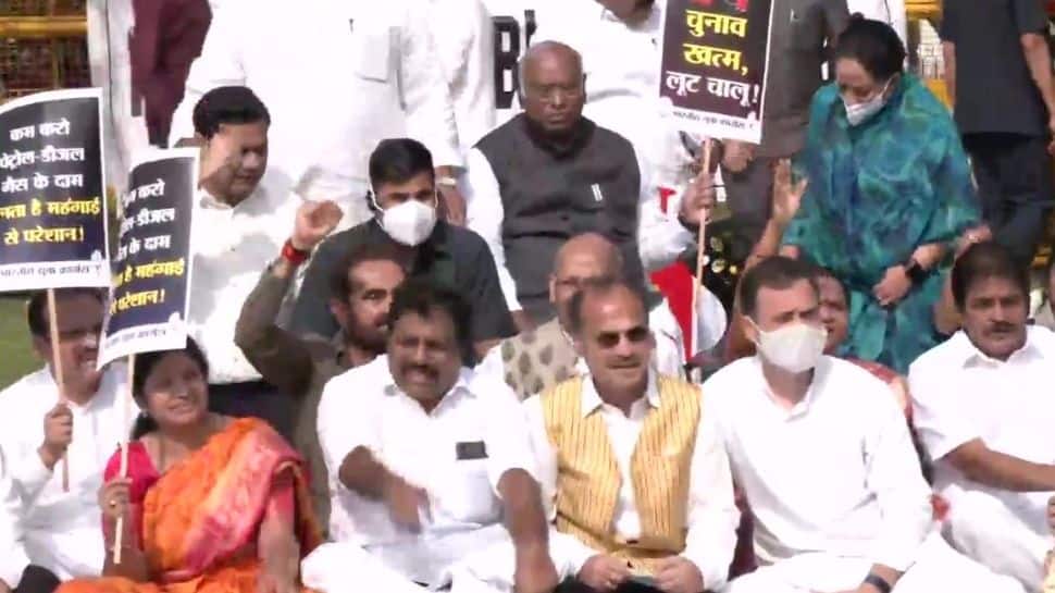 Congress MPs led by Rahul Gandhi stage protest against rising petrol, diesel prices - Vimarsana News