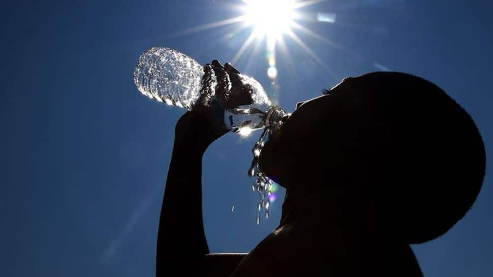 Heatwave to severe heatwave prevails in many states - Check IMD’s full forecast here