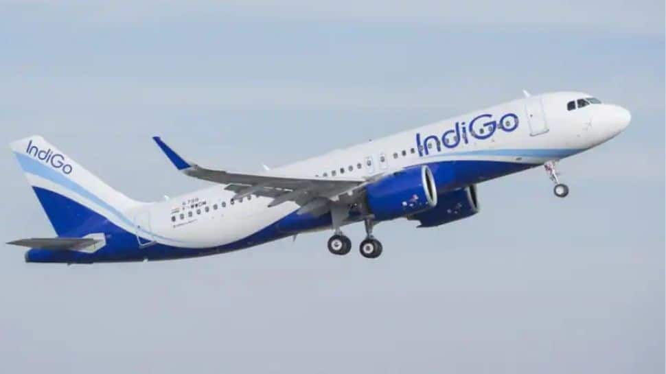 IndiGo flight makes emergency landing in Nagpur after technical snag