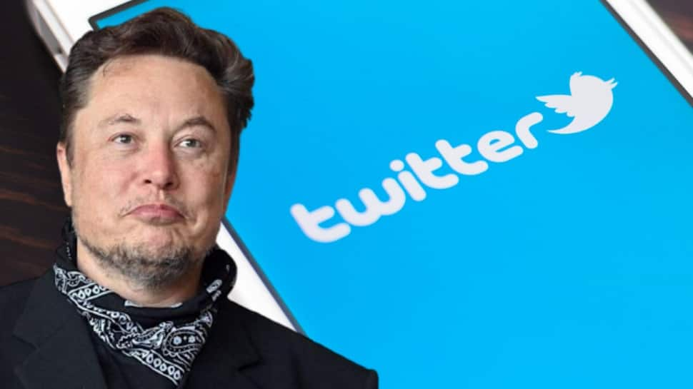 Who are the top 10 shareholders of Twitter besides Elon Musk? Full list here