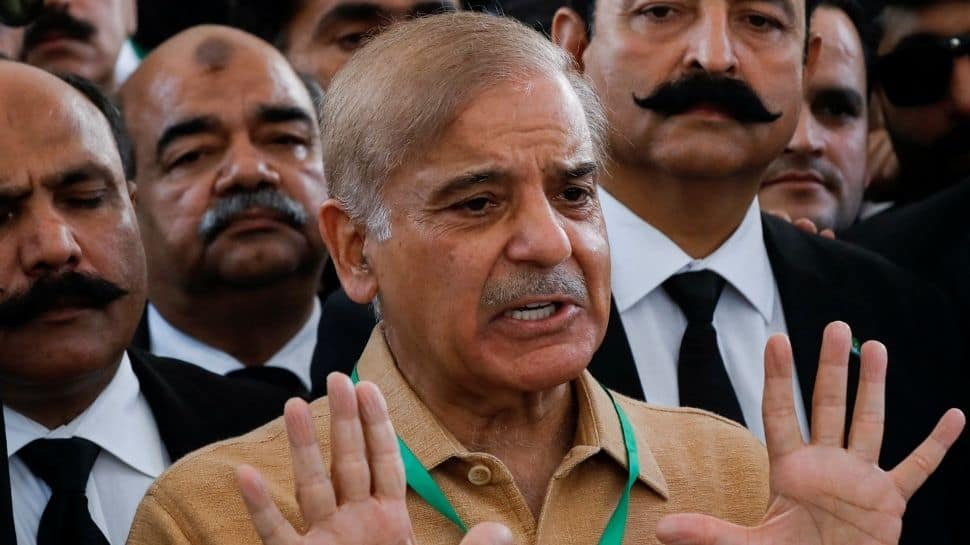 Shehbaz Sharif, Nawaz Sharif's brother, can be next Pakistan Prime Minister - all about him