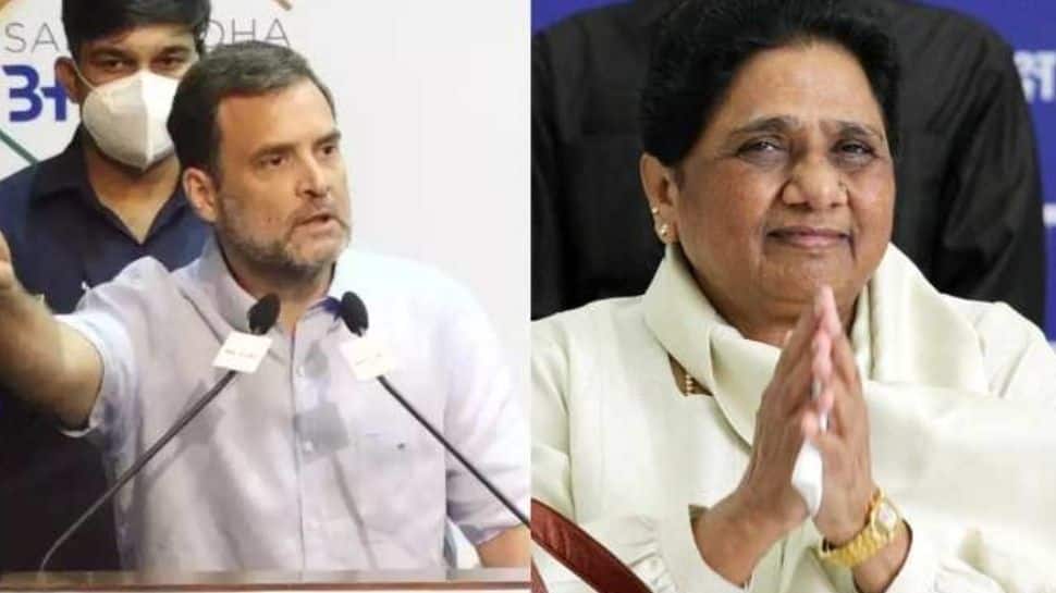 Congress had offered UP CM post to Mayawati but she 'did not even talk to us': Rahul Gandhi