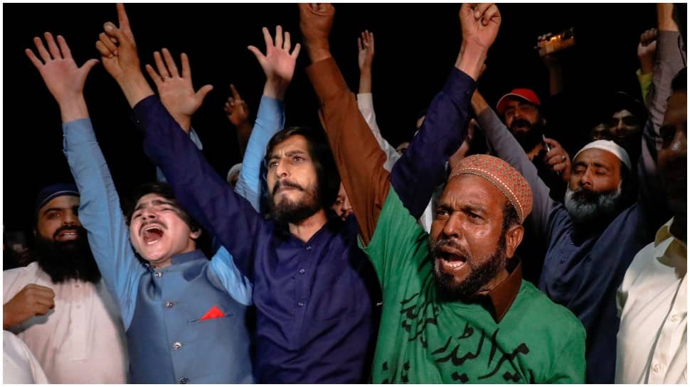Pakistani nationals celebrate as Imran Khan's government fails in no-confidence vote