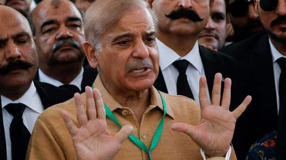 New Pakistan govt won’t indulge in &#039;politics of revenge&#039;: Shehbaz Sharif, opposition&#039;s PM candidate