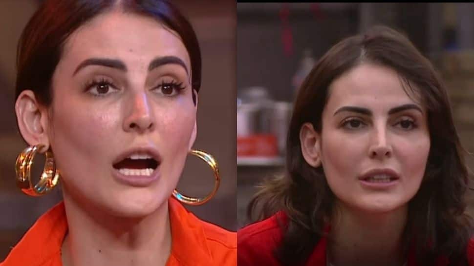 Lock Upp update: Mandana Karimi reveals she had an abortion, opens up on secret affair with ace director!