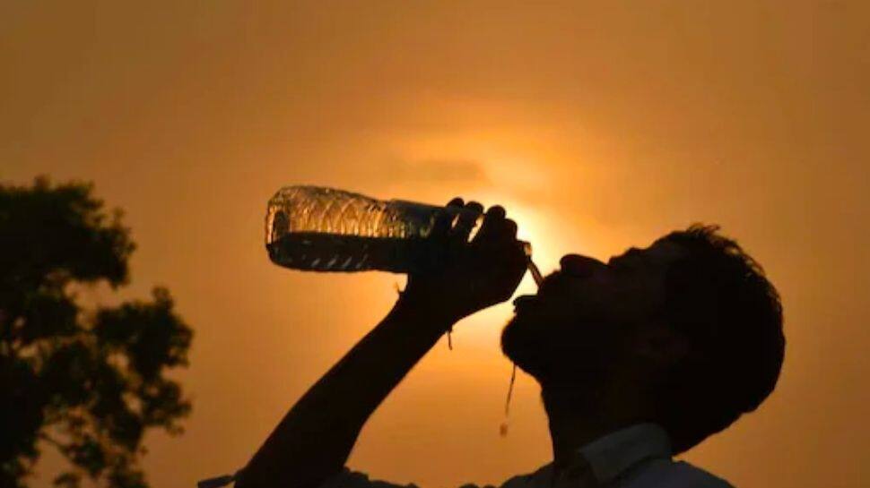 Weather update: Orange alert in Delhi, no respite from heatwave conditions in city