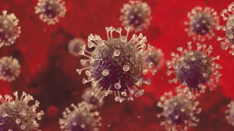 Le virus Covid-19 continue d’évoluer, de nouvelles variantes vont émerger, prévient l’OMS |  Nouvelles du monde