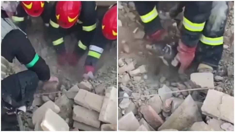 Watch: Puppy&#039;s rescue from Ukrainian village after Russian attack overwhelms internet