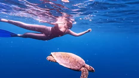 Sonakshi was elated to swim next to a sea turtle