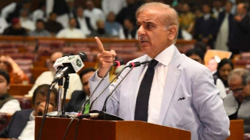 Pakistan PM Shehbaz Sharif&#039;s 34-member Cabinet takes oath - Details here