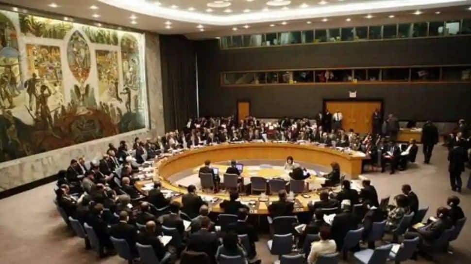 Russia-Ukraine war: Diplomacy must prevail as only viable option, says India at UNSC