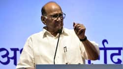 'The Kashmir Files' was shown to 'influence' voters in favour of BJP: Pawar