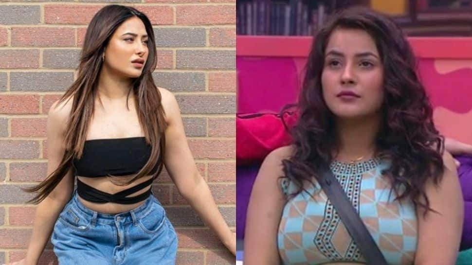 Shehnaaz Gill fans say &#039;karma&#039; after Mahira Sharma gets fat-shamed during interview!