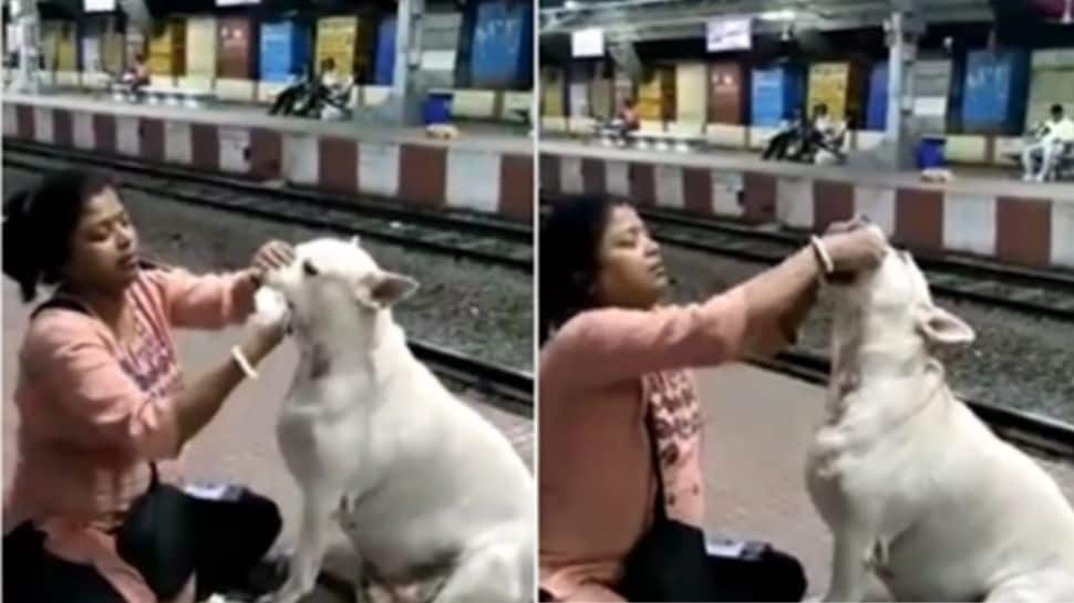 Trending news: Woman feeds dog at railway station in West Bengal, video goes viral- Watch