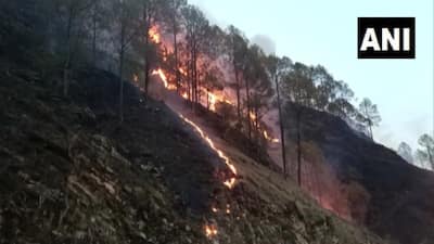 Tehri forest burning for four to five days