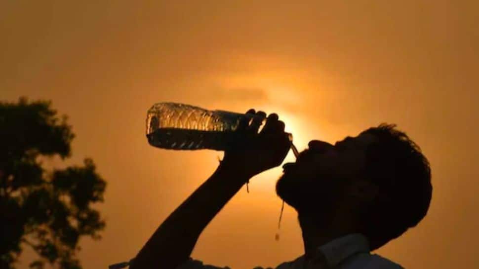 Heatwave sweeps Maharashtra 
