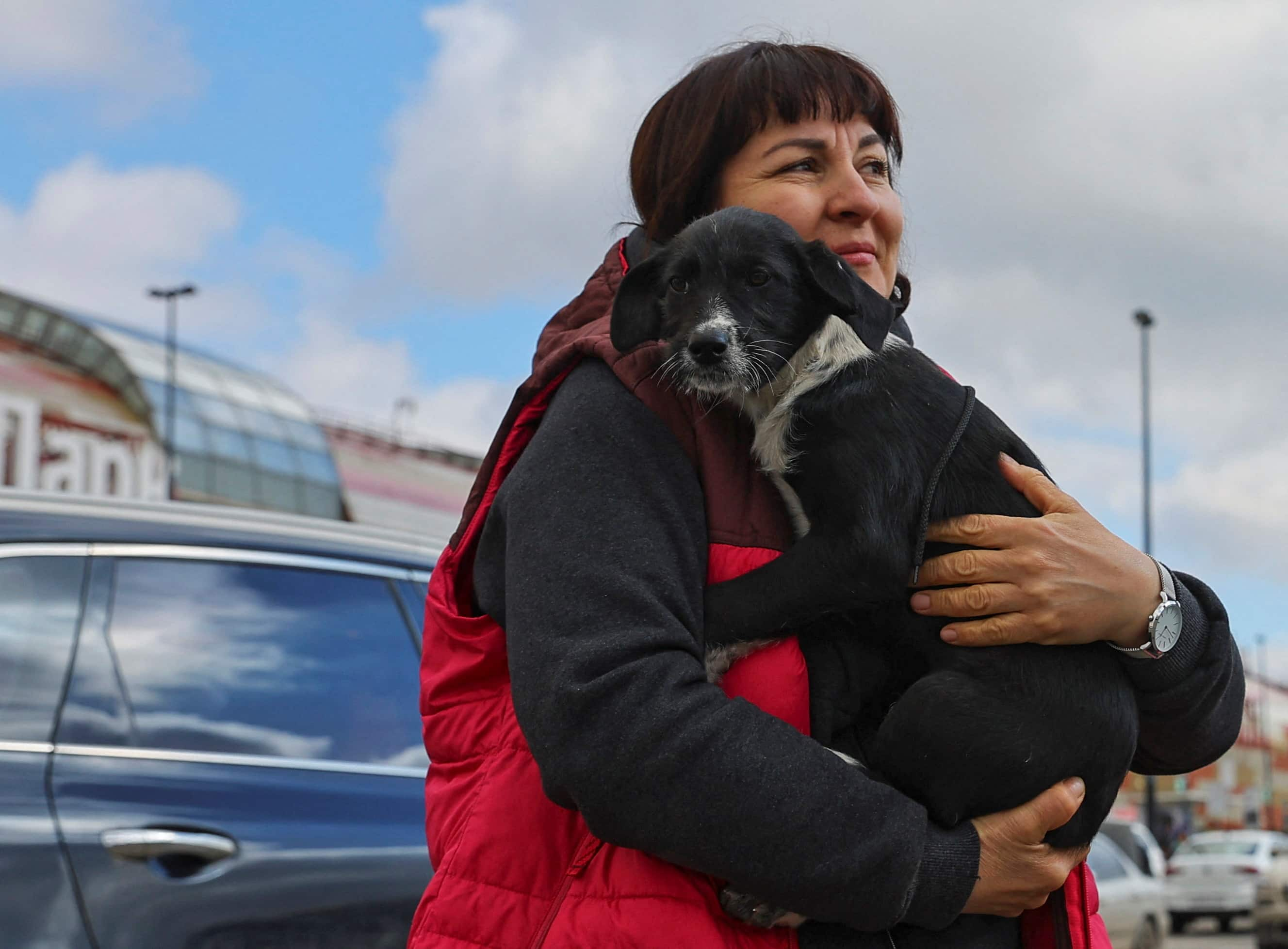 Volunteer hugs a rescued dog amid Russia-Ukraine war