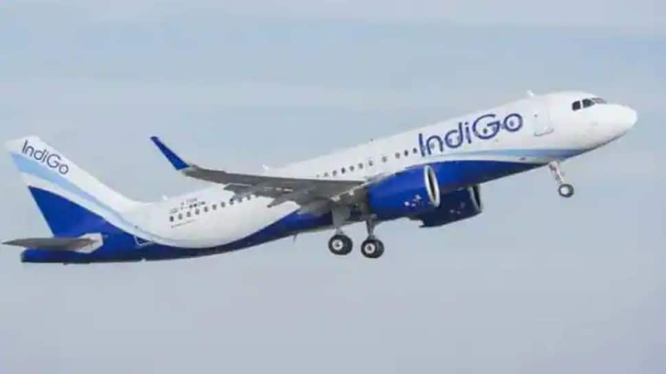 IndiGo airline launches fare category “Super 6E” for extra baggage, meals and other services