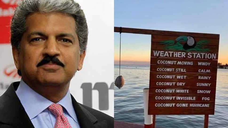 Anand Mahindra finds &#039;reliable&#039; forecasting mechanism, leaves netizens in splits