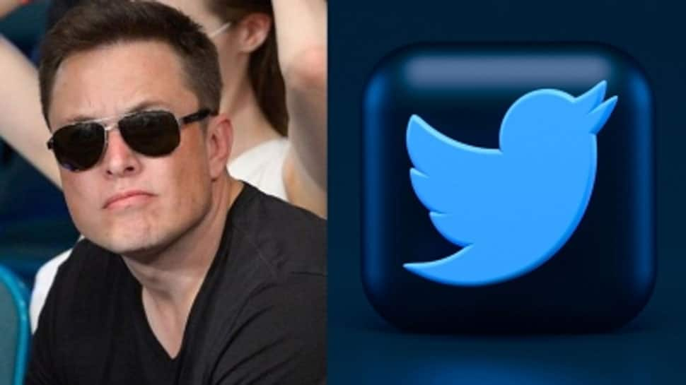 Elon Musk may take over as temporary CEO of Twitter