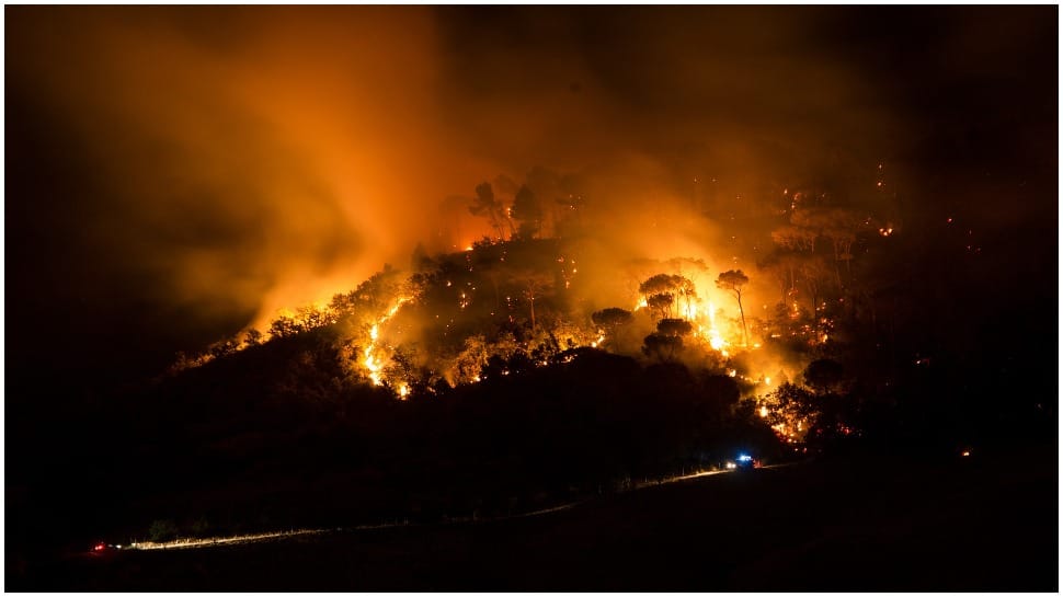 Les incendies de forêt au Nouveau-Mexique se transforment en cauchemar pour les pompiers alors que les vents violents aggravent l’incendie |  Nouvelles du monde