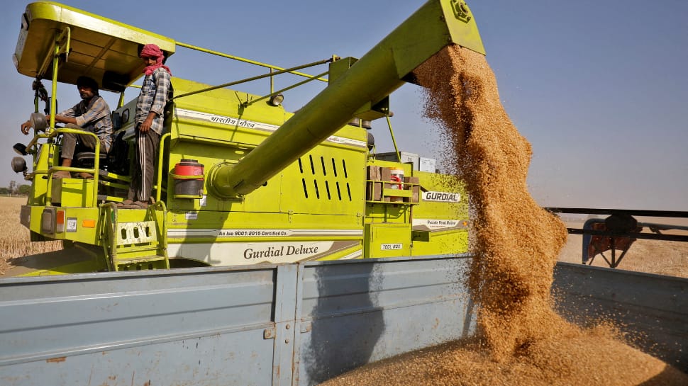 India bans export of wheat to check rising prices pinching Indian homes