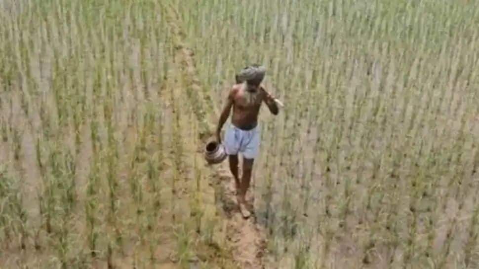 Steps to Check Name in PM Kisan Beneficiary List