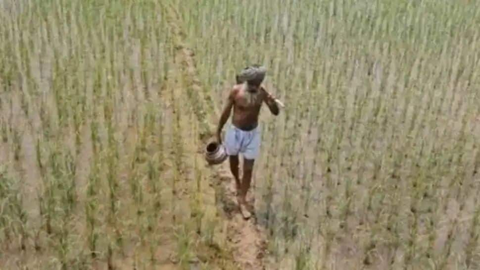 Steps to Check Name in PM Kisan Beneficiary List 