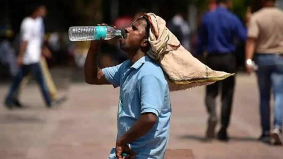 Delhi to get slight relief from scorching temperatures, see IMD&#039;s weather forecast