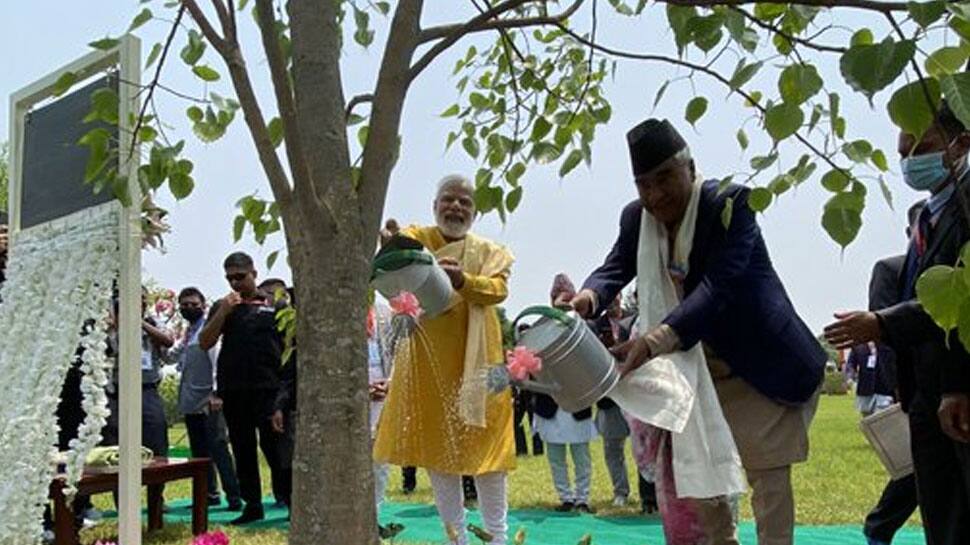 PM Modi waters the sacred Bodhi tree