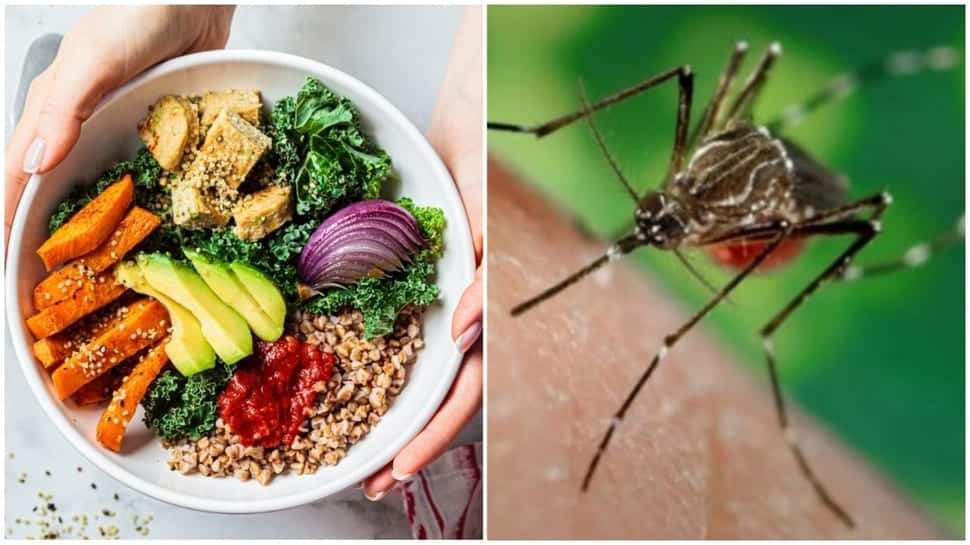National Dengue Day: What to eat and what to avoid, check diet plan to follow for faster recovery 