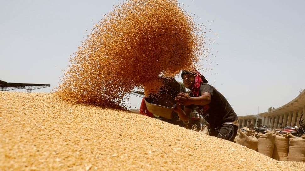 L’interdiction d’exporter du blé en Inde suscite de « profondes inquiétudes » chez le secrétaire américain à l’Agriculture – découvrez pourquoi |  Nouvelles de l’Inde