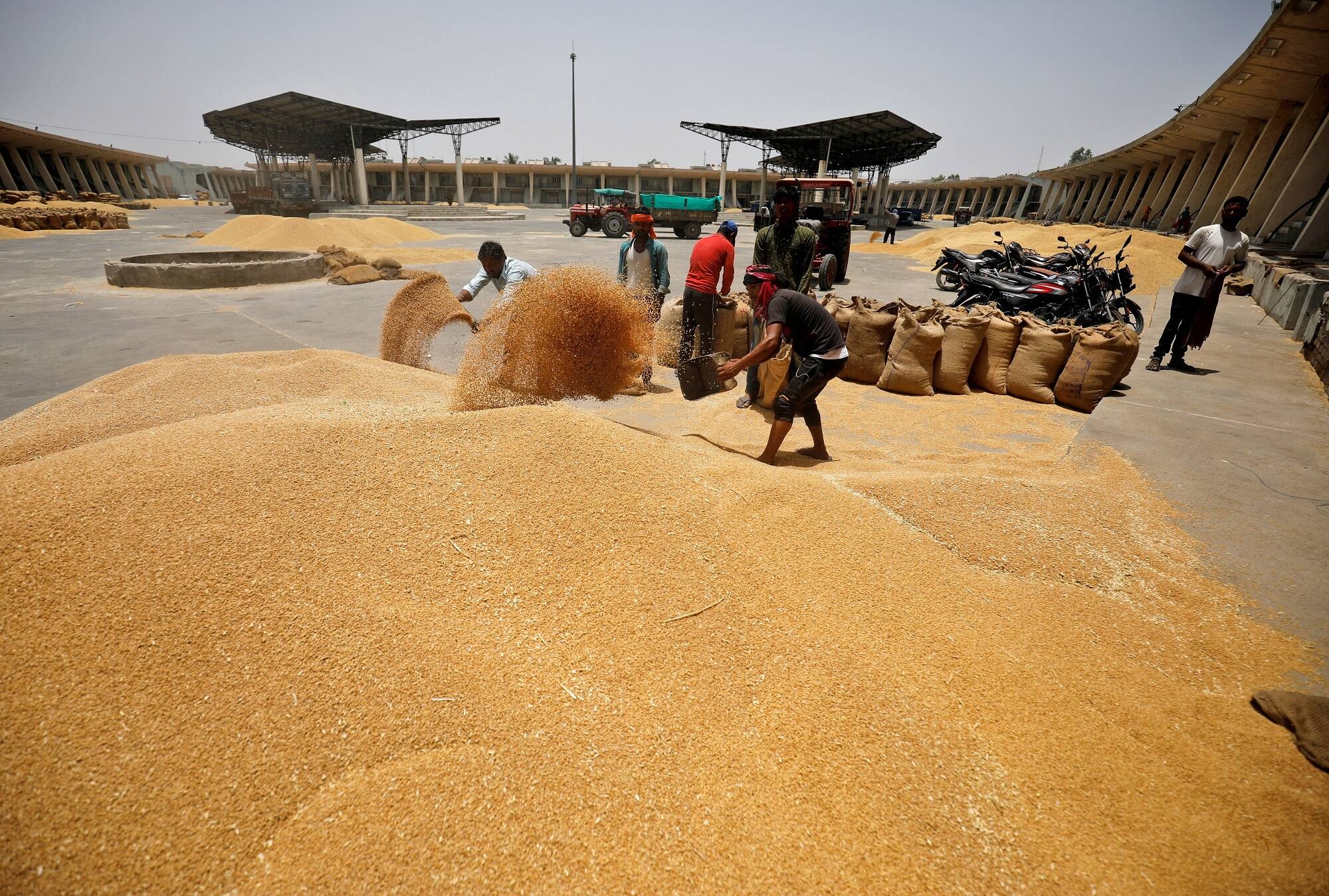 India's wheat export ban is causing US Agriculture Secretary 'deep concern' - find out why