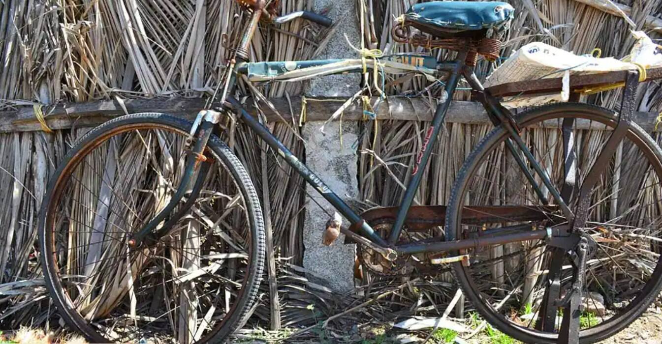 West Bengal achieves rare feat - 78.9% households have bicycles, Mamata Banerjee is &#039;extremely happy&#039;