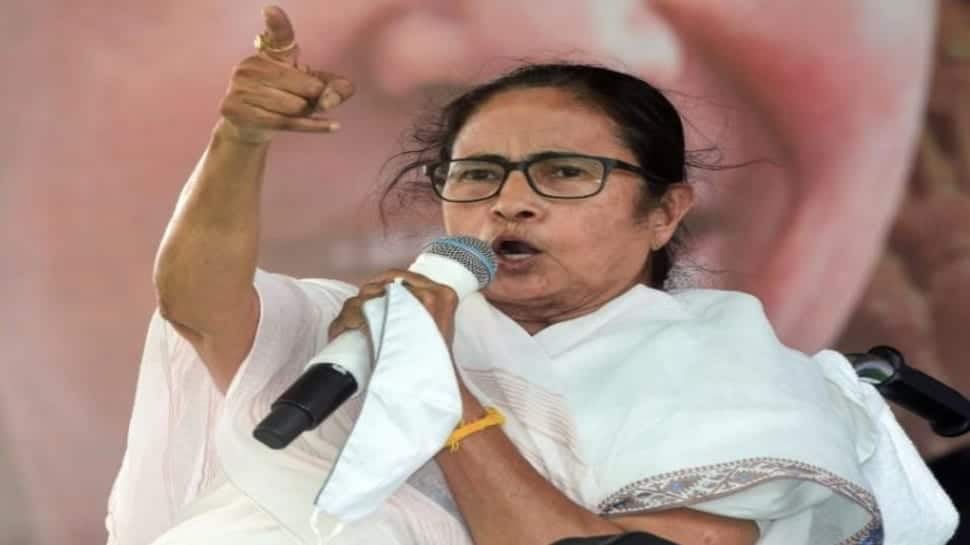 'Ask BJP leaders to pay 100 days wages or else don't allow them...': Mamata Banerjee's message to TMC workers