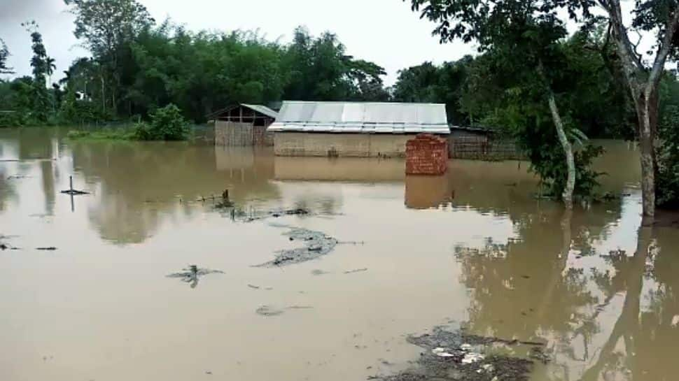 Assam Forest Dept builds highlands to provide shelter to animals 