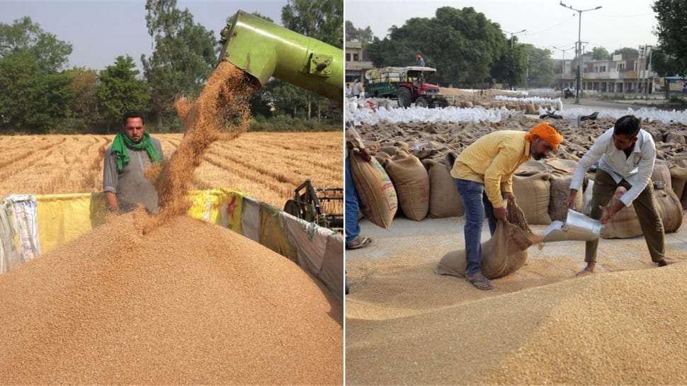 Wheat export ban: India assures food supplies to nations &#039;most in need&#039; despite shortage