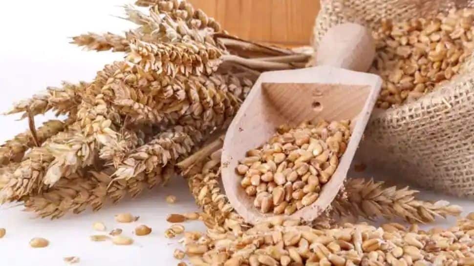 Heat wave impacts wheat production: India slashes output estimate by 4.4%