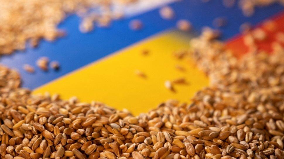 Ukraine's food crisis