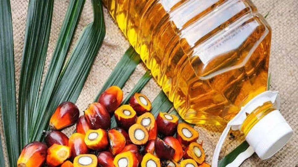 Why is Palm Oil Crucial? 